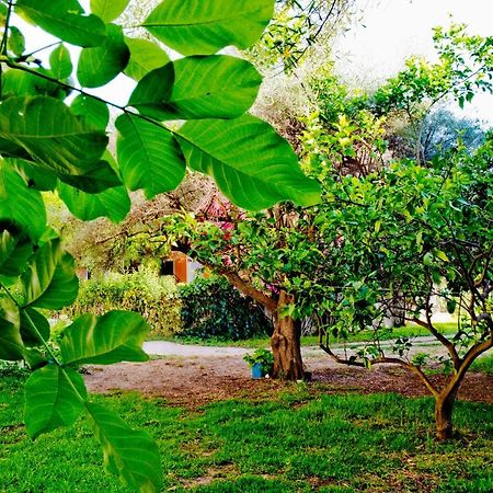 Daniel Beach Nikiana Ngoại thất bức ảnh
